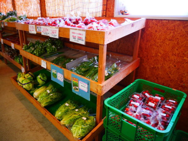 産直市場内で販売されている野菜