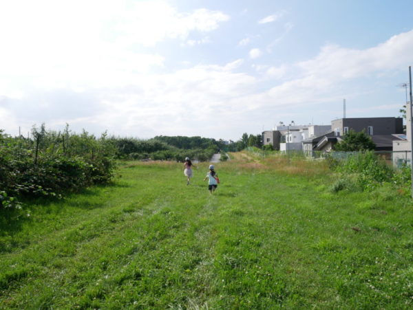 ブルーベリー畑
